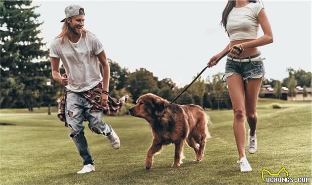 养犬者的素养，你知道哪些？