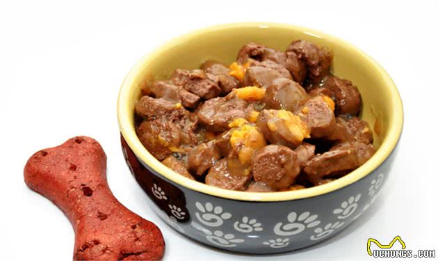狗狗出现“厌食”症状，需尽快找到原因，对症下药