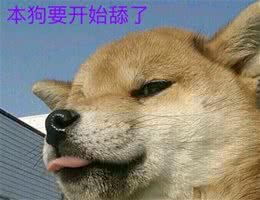 狗狗喜欢舔这几个地方，是有事情想告诉你