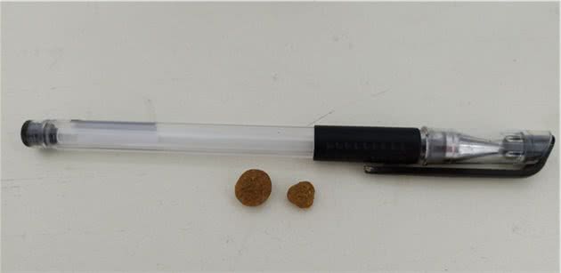 不同体型的狗狗都喜欢吃多大颗粒的狗粮呢？