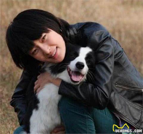 边境牧羊犬的几个小秘密，宠主不一定知道，知道后更想养它了