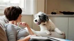 你的“难言之隐”，宠物也有！