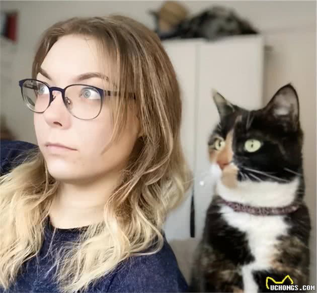 猫随主人？猫主子的气质竟与你有关？