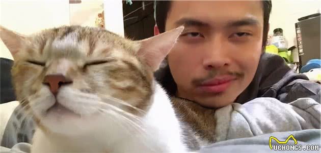 猫随主人？猫主子的气质竟与你有关？
