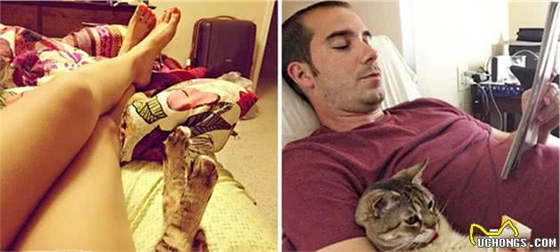 猫随主人？猫主子的气质竟与你有关？