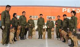 训犬师一个月的工资是多少