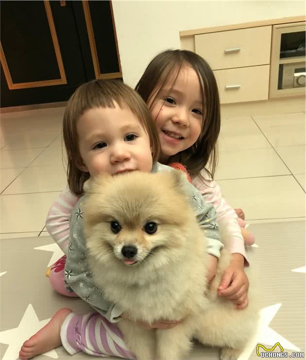 狗狗是很适合陪伴孩子成长的宠物，但是家长也要事先考虑这些问题