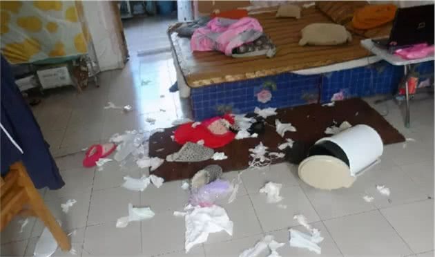 比熊犬出现这几个行为，说明它很“孤独”，赶紧陪陪它吧