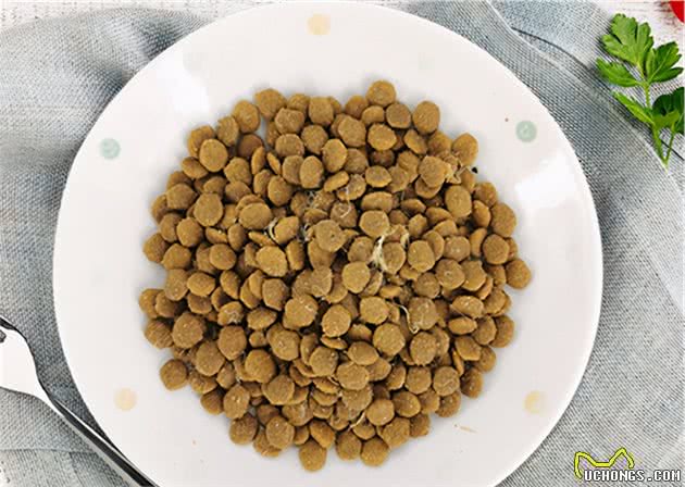 泰迪、比熊小型犬狗粮推荐！这些牌子的狗粮品质好又便宜
