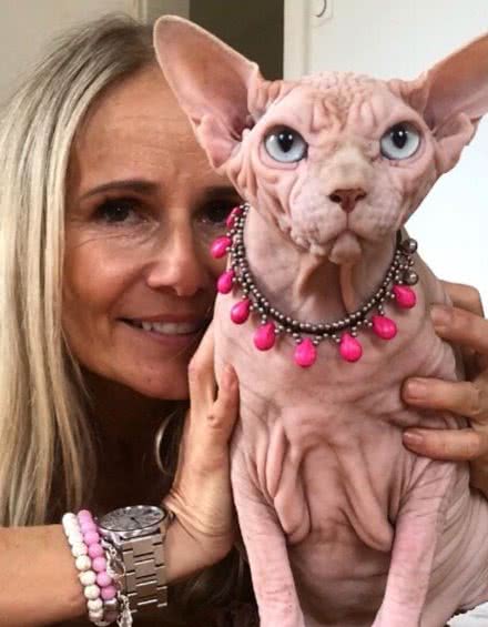 想养一只无毛猫，需要注意什么事情吗？