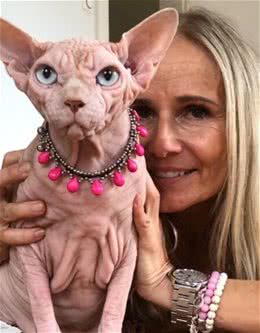 想养一只无毛猫，需要注意什么事情吗？