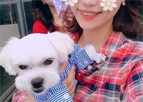 就算你跟狗狗关系好，也别这样做，不然后悔也没用