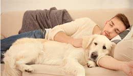 如果狗狗把你当“父母”，这几个表现一定少不了