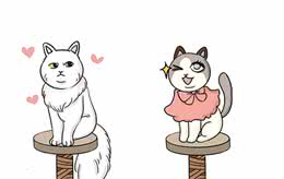 什么？到现在还有人认为狸花猫很土？做人不要太崇洋媚外哦