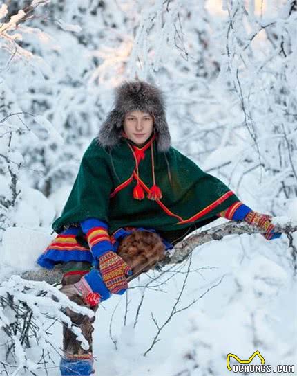 打过仗，当过雪地王者，历史上的哈士奇跟你认识得不一样