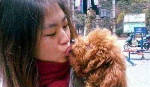狗狗为何总爱舔人嘴巴？其实它想告诉你这些事情