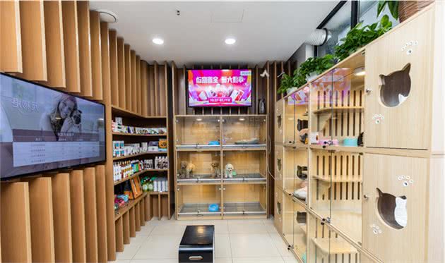宠物港百子湾店的极致服务