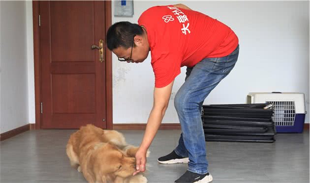 “狗学校”你听说过吗？河北这地有一座