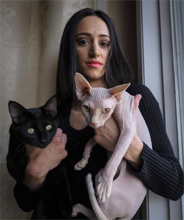 花几千块买了只无毛猫，过半个月居然长毛了：感觉在搞人心态呀