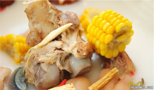 能提高狗狗“食欲”的5种食物，你家备上了吗？