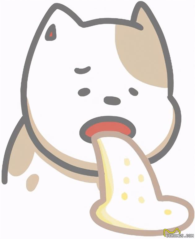 养狗说明:分析狗5种呕吐物的病因