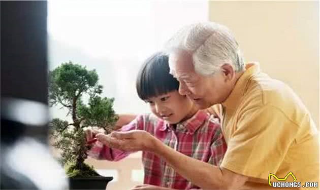 “外甥狗，吃了走”，孩子和姥姥不亲的原因是这些，父母别怨孩子