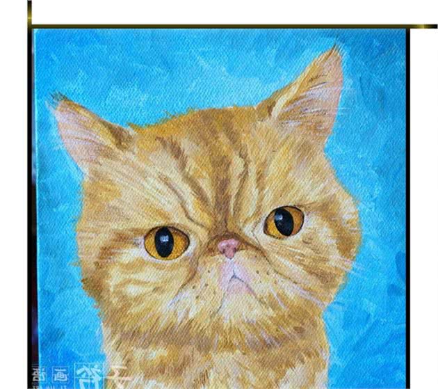 「油画猫咪赏析」讲解不同品种猫咪特征（一）