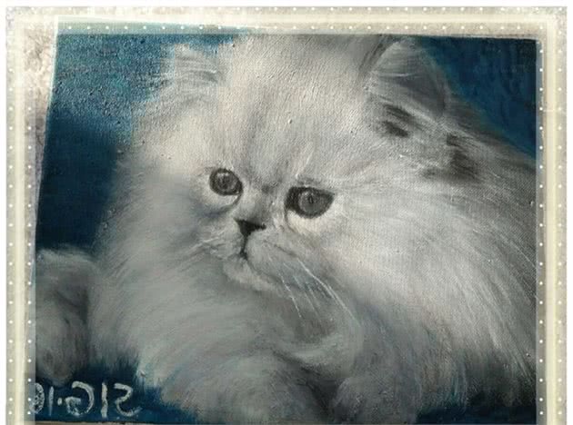 「油画猫咪赏析」讲解不同品种猫咪特征（一）