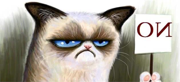 猫聪明？还是狗聪明？根据这3点你也可以来判断