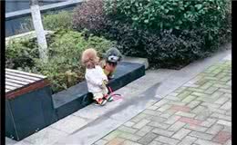 网友以为有位小朋友在遛狗，走近才发现是两只狗，衣服好有个性