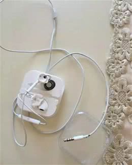 你家狗破坏过最贵的东西是什么？看完心在滴血......