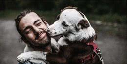 狗老舔你的手或者脸，是想告诉你这几件事