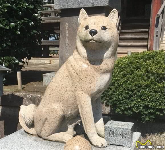 中国石狮子的近亲还是远房？诉说日本神社狛犬的身世