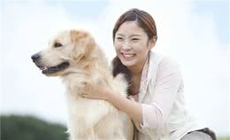 金毛犬很“危险”，我劝你不要养，不然和我一样后悔莫及！