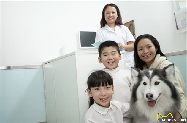 宠物犬皮肤出现红斑并伴随着瘙痒等情况的时候它有可能得了疥螨病