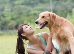 狗狗百科：养狗的那些好处？科学+亲测有效