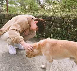 狗狗被摸头，在它眼中意味着什么？