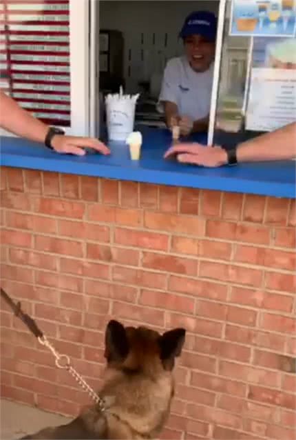 警犬下班去冰淇淋店，训导员说可以吃，它两三口吃完一个冰淇淋