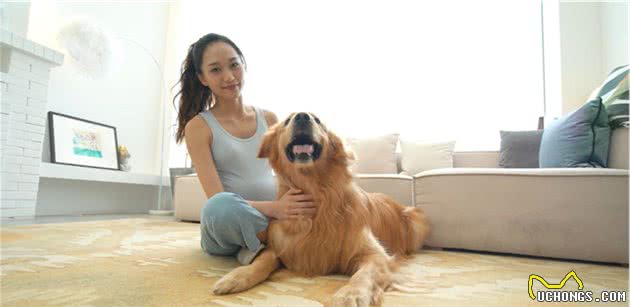 性格最好的六种狗，最适合“撸狗”了
