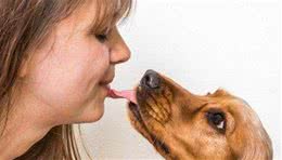 狗狗聪不聪明？就看会不会做这5件事，大部分狗狗只会两三种！