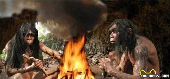 为何狗狗交配随处可见，却很少见猫交配，而人类又有何不同呢？