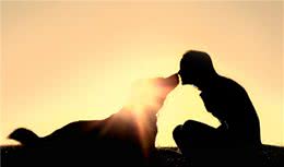 甜！狗狗喜欢舔你是不是爱呢？其实不仅仅是爱