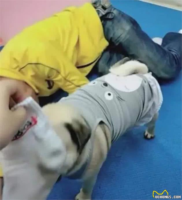 狗狗最怕的7件事，铲屎官却经常做，最后一件做了不配养狗