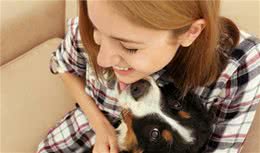 狗狗舔人的小秘密，不同地方表达的意思都不一样