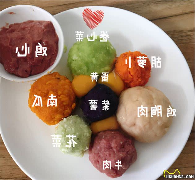喂狗粮和喂饭的狗，差别真的很大吗？从科学角度分析