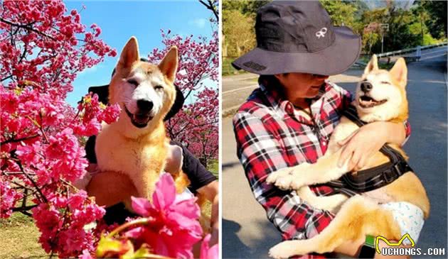 “直到最后也不要后悔”，和伴侣犬一起出发的最后离别旅行