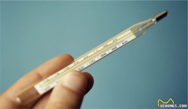 小狗感冒能自愈吗小狗感冒怎么样能自愈