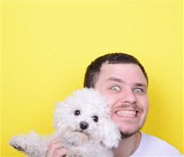 比熊犬为什么越来越多人养了？网友：养了之后就不想换狗了