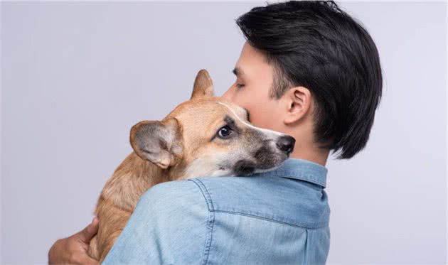 狗狗恐惧某些事物怎么办？这八个方法可以帮你，让狗狗更好地面对