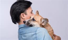 狗狗恐惧某些事物怎么办？这八个方法可以帮你，让狗狗更好地面对